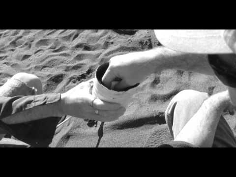 Promotional video thumbnail 4 for Matt Langlois
