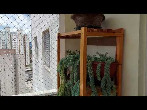 Começou a copa de nov.2022 na Freguesia do Ó