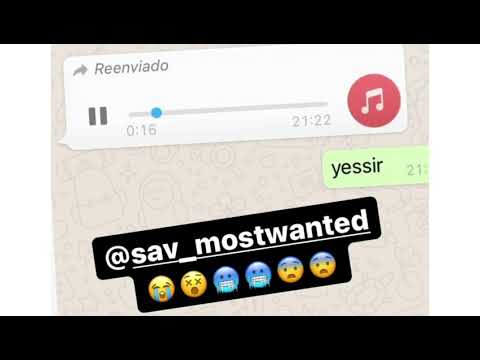 Sav12 x Aiman Jr - Francés (Extracto)