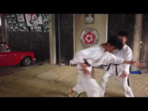 Jurus Andalan Steven Seagal - Irimi Nage