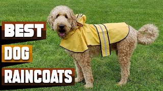 Best Dog Raincoat In 2026 - Top 10 Dog Raincoats Review