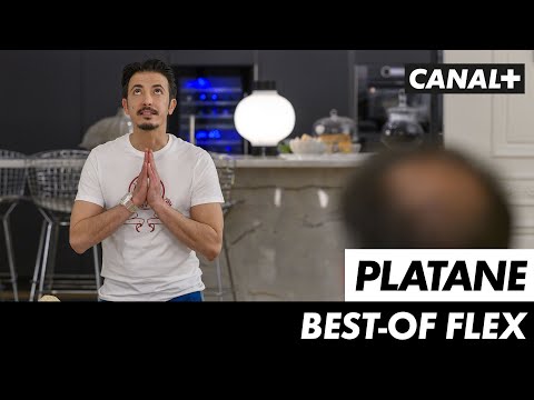 Best of Flex - PLATANE