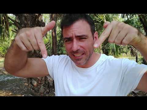 Plain Text or Database