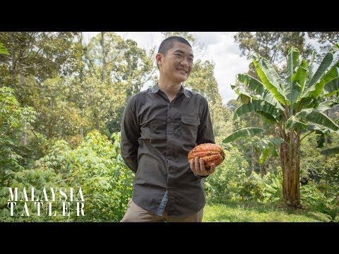 Single Origin Cocoa with Chocolate Concierge's Ong Ning Geng | MALAYSIA TATLER