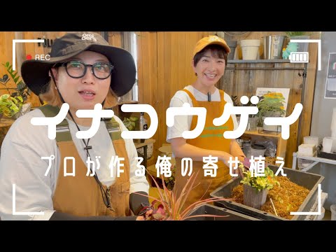 エスカロニア科 - 定義