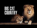 Big Cat Country Full Length Edition Lion Pride Documentary