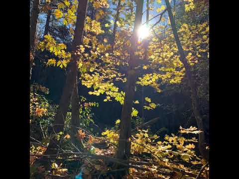 Fall hikes at Washington state