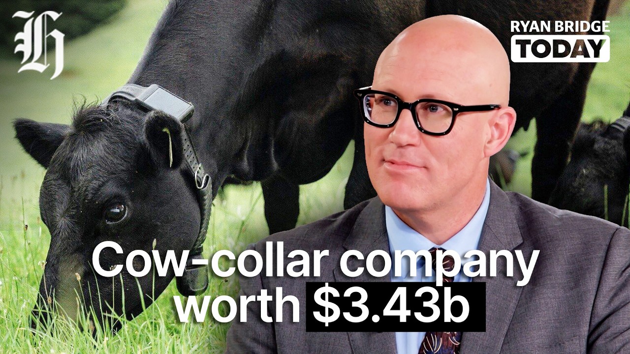 One million cows collared by Halter, $120m tagged for Revolut NZ, medium-term focus for RBNZ