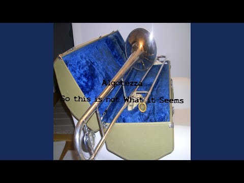 Mr T Bone and His Horny Horns