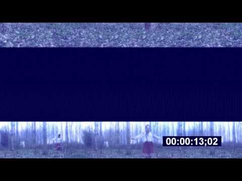 Anton Zap - Modernization