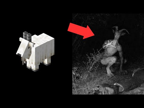 Minecraft Mobs as Cursed Images #4 (EXTRA CURSED)