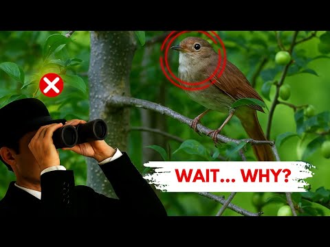 Do You Even Know This About Birds