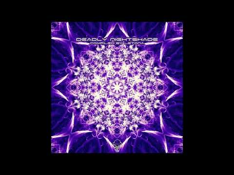 Phreneticus - Look What I've Created (220 bpm)