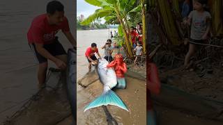 Download lagu Allah ka🌙🕋🇸🇦👍☝️#muhammadﷺ #duet #allah 🥰❤️🌹👍☝️#youtubeshorts #trending #islamicpost mp3 Download lagu Allah ka🌙🕋🇸🇦👍☝️#muhammadﷺ #duet #allah 🥰❤️🌹👍☝️#youtubeshorts #trending #islamicpost mp3