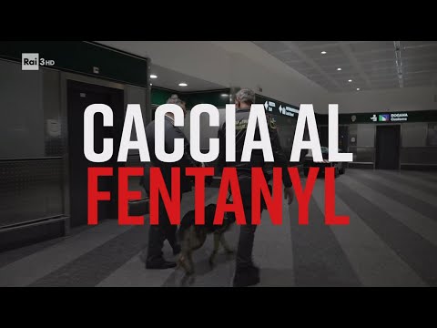 Italia, caccia al fentanyl - PresaDiretta 16/03/2025