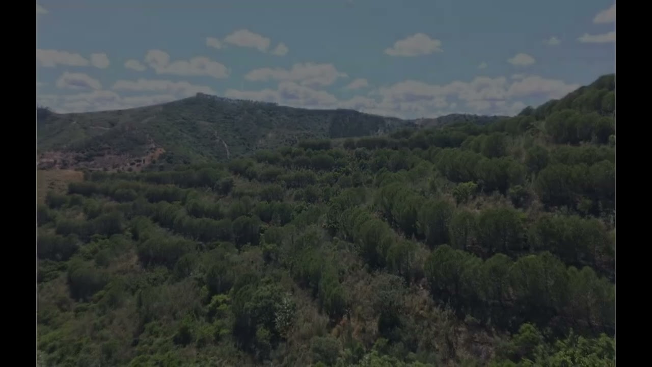 Vídeo do imóvel
