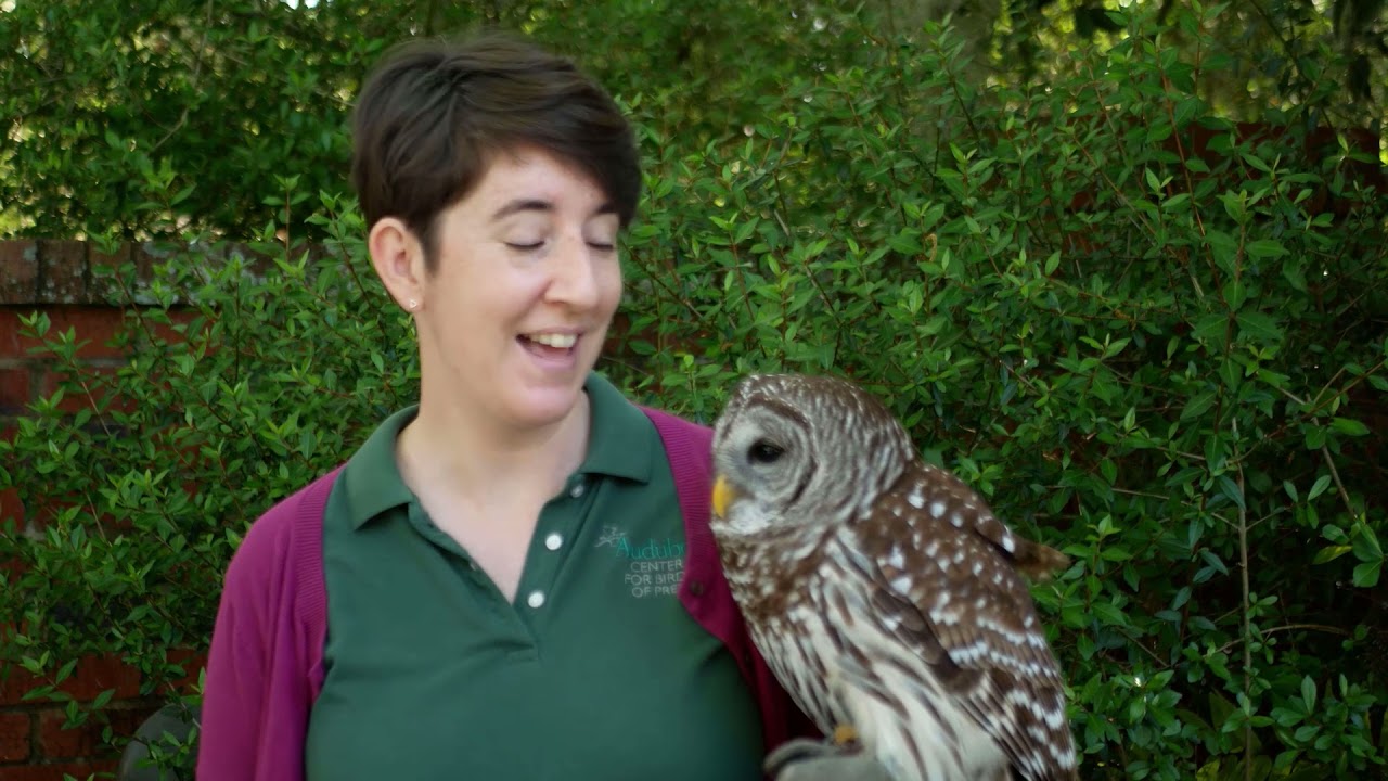 How does your support help the Center for Birds of Prey