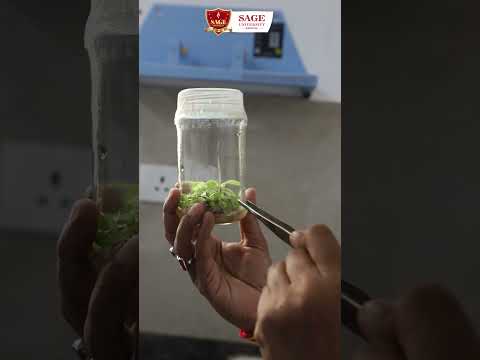 SAGE University PTC Workshop