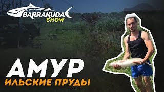 Рыбалка в свободный краснодарский край васюринская