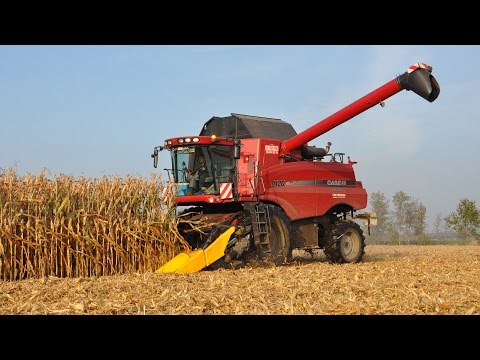Case IH 9120 Axial Flow - Loonw. De Bruyne - mais dorsen 2014