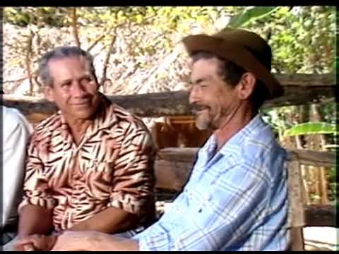 Geraldinho - Causo do Casalzinho Novo (OFICIAL)