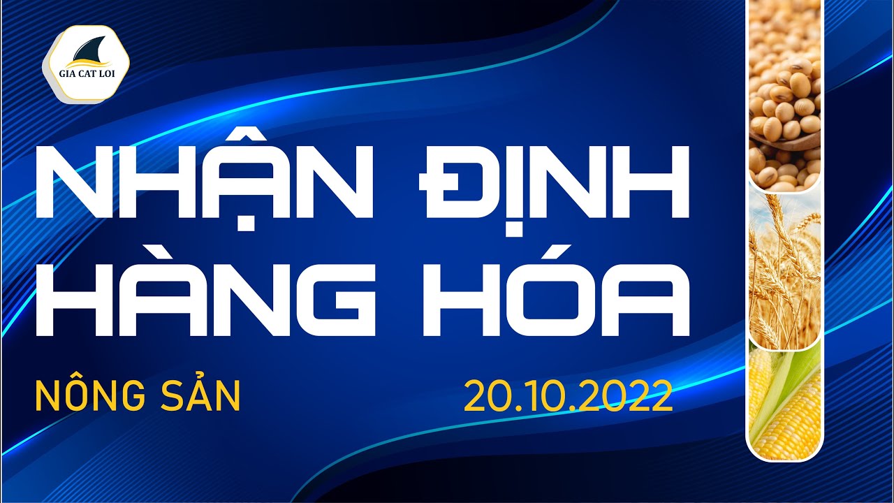 Nhận Định Thị Trường Nông Sản Ngày 20/10/2022