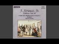Phänomene, Op. 193: Phanomene (Waltz) , Op. 193