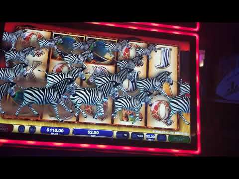 Another WILD LIFE EXTREME bonus..AMAZING!