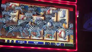 Download lagu Another WILD LIFE EXTREME bonus..AMAZING! mp3