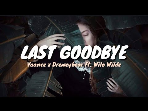 Last Goodbye - Vaance x Dreweybear Ft. Wilo Wilde (Lyrics Video)