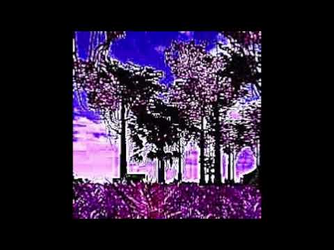 SAIBOT X JAY MANTRA - SMOKE IN THE SWAMP (PROD. SWAMPKILL777)