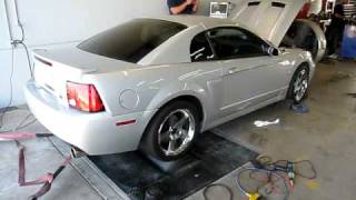 2004 Mustang Cobra dynoing at Gearheads Performance. Dyno #2