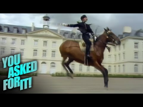 Inside the World of Cadre Noir's Elite Horses | You Asked For It