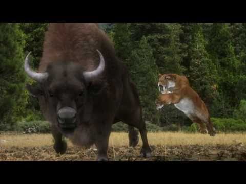 Prehistoric Assassins - Character Animation Deomo Reel