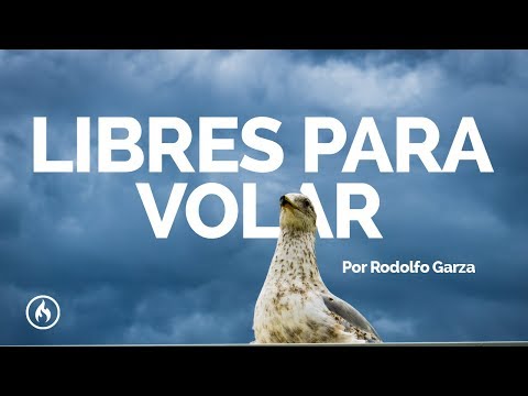 Libres para Volar - Rodolfo Garza