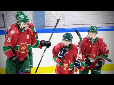 09.02.2020 Karhu-Kissat - Kiekko-Vantaa Ak C maalikooste