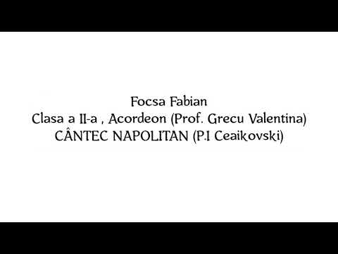 Focsa Fabian