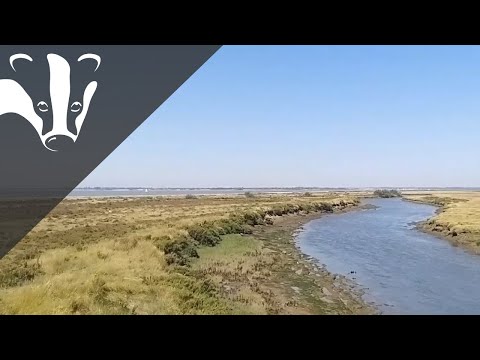 The Essex Coastal Challenge - Howlands Marsh nature reserve