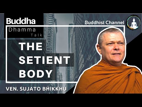 The Sentient Body Video Thumbnail