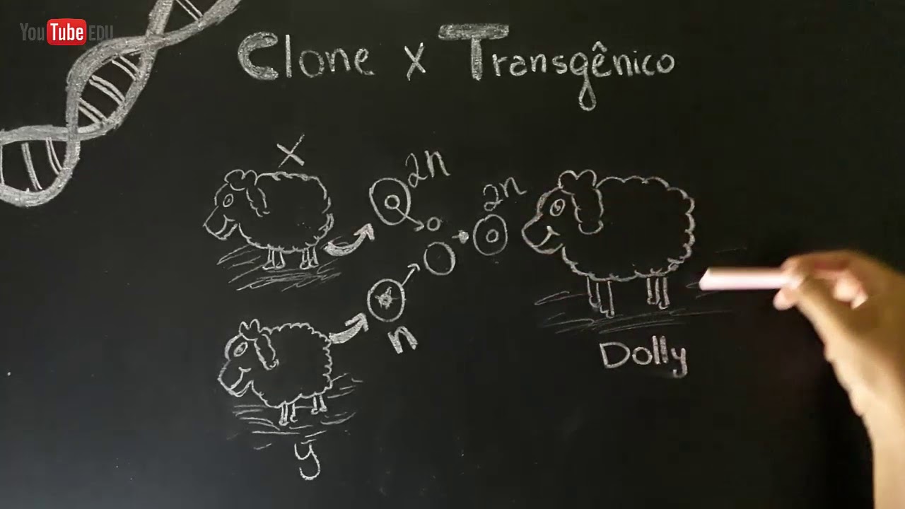 CLONES e TRANSGÊNICOS -  O que é clonagem e transgênicos? | BIOTECNOLOGIA