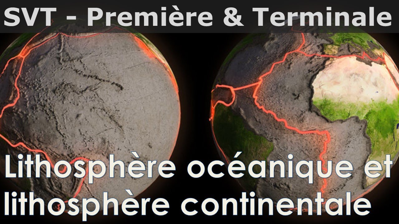 SVT - Première & Terminale - Lithosphère océanique et lithosphère continentale