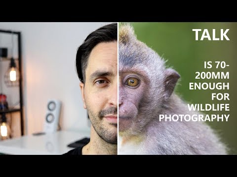 Is 70-200mm enough for wildlife photography [feat. Canon EF 70-200mm f/4L USM]