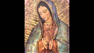 Our Lady of Guadalupe