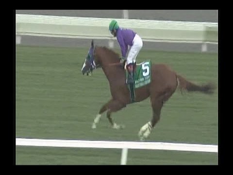 2014 Hollywood Derby - California Chrome