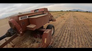 Making Little Straw Bales