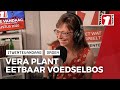 Het voedselbos in Twekkelo, een eetbare hemel op aarde!