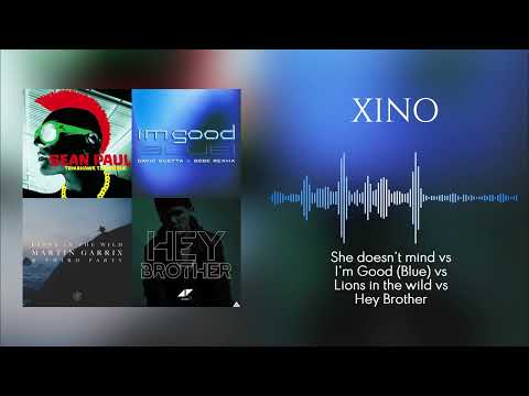 She doesn't mind vs I'm Good (Blue) vs Lions in the wild vs Hey Brother (XINO Mashup)