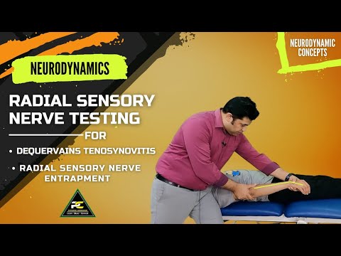 Conceptual Framework of Neurodynamics Treatment Approach The 3 Part System