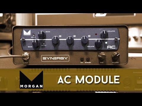 Synergy Morgan AC 2-channel Tube Preamp Module image 3