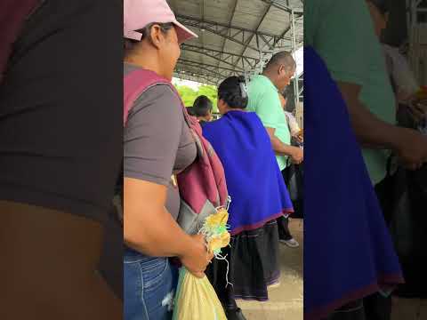 🚸💙 ¡La niñez se protege, no se pone a trabajar!